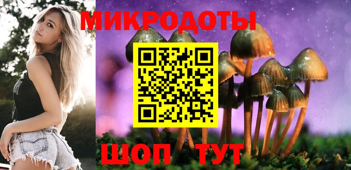 Галлюциногенные грибы GOLDEN TEACHER  Псилоцибиновые грибы Psilocybe  Улан-Удэ  Вход с VPN 